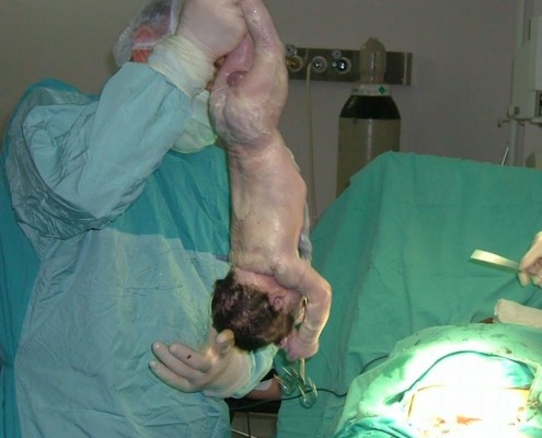 10372270_825148030876973_7889027852033590251_n