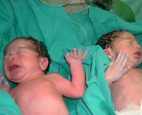 1456643_825148250876951_1362970733638826491_n